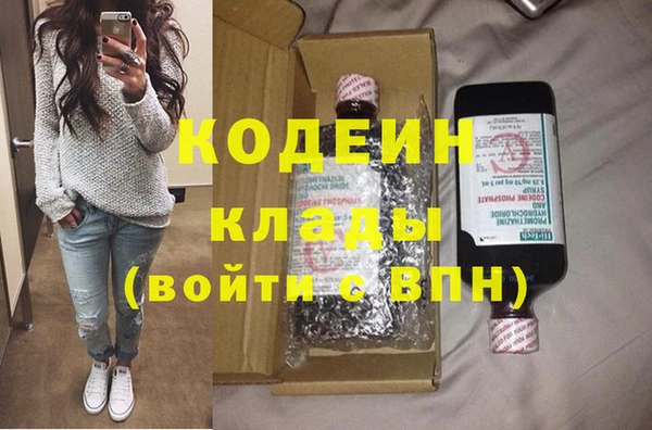 твердый Иннополис