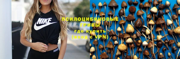 а пвп мука Инсар