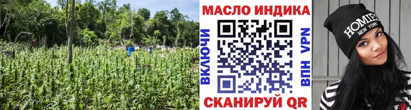 Купить  Сковородино  Дистиллят ТГК THC oil 