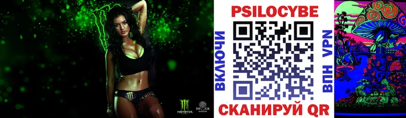 Псилоцибиновые грибы Psilocybe Купить закладки Сковородино